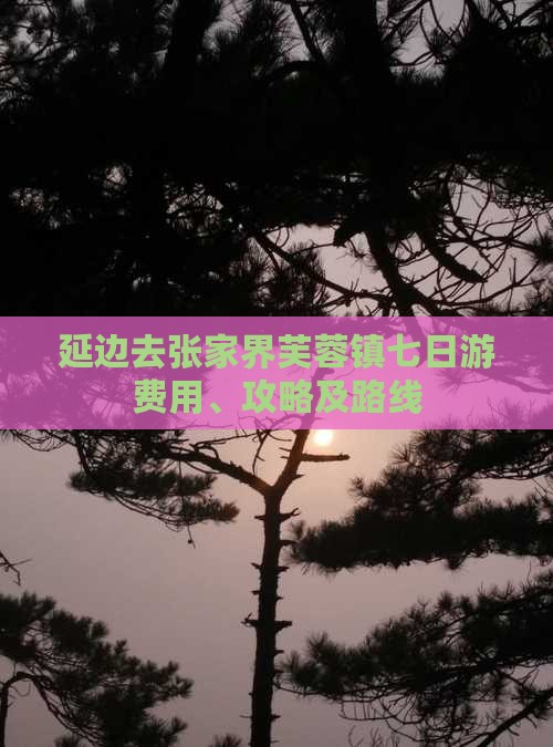 延边去张家界芙蓉镇七日游
