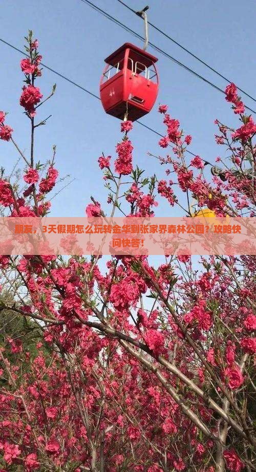 金华到张家界森林公园三日游