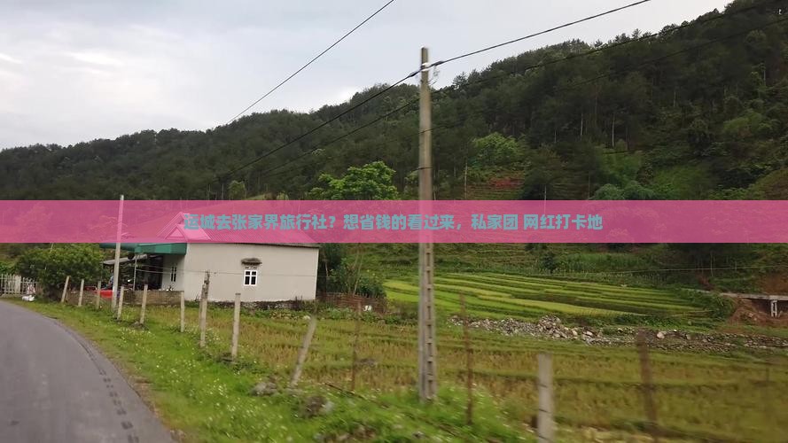 运城去张家界旅行社