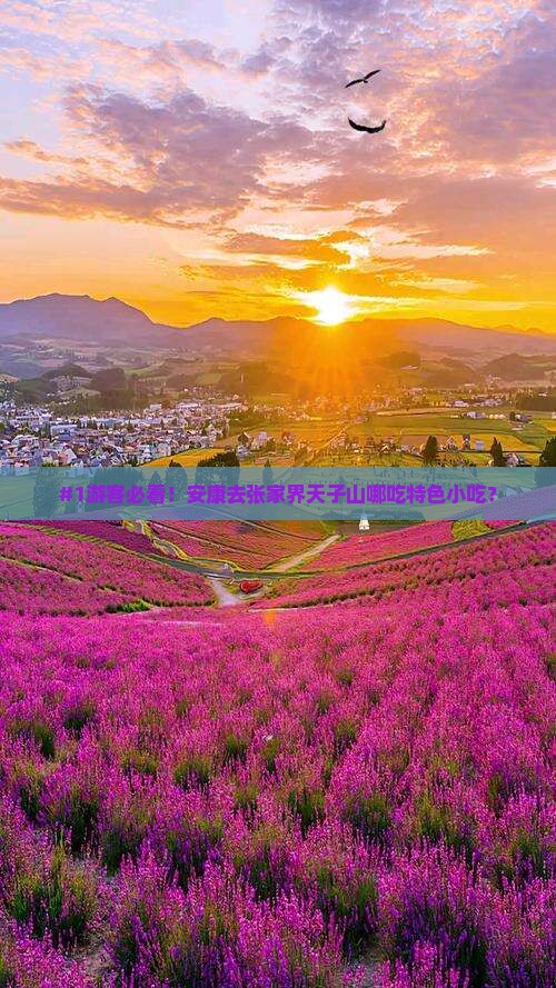 安康到张家界天子山旅游小吃