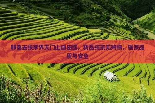 那曲去张家界天门山自由团