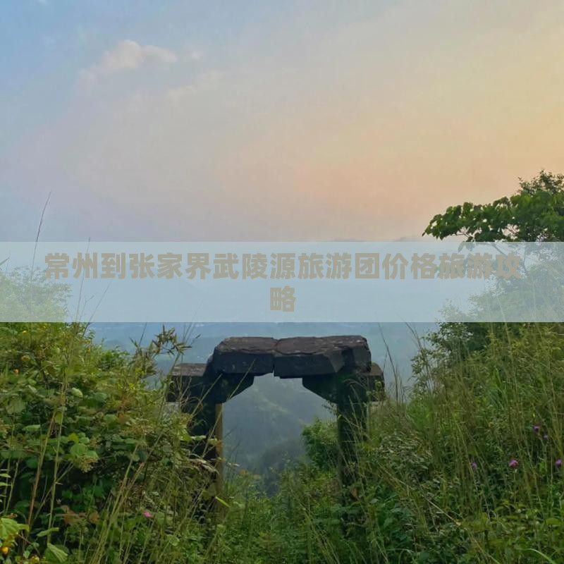 常州到张家界武陵源自由团