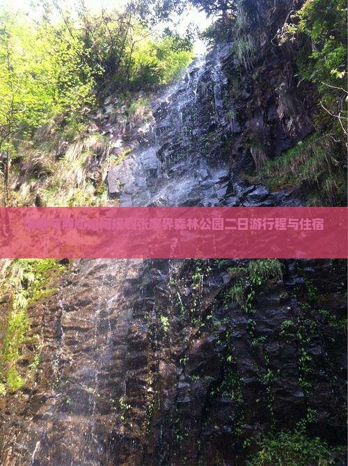 清明节到张家界森林公园二日游