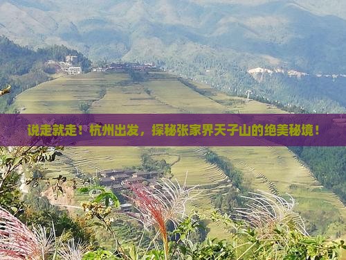 杭州去张家界天子山景点