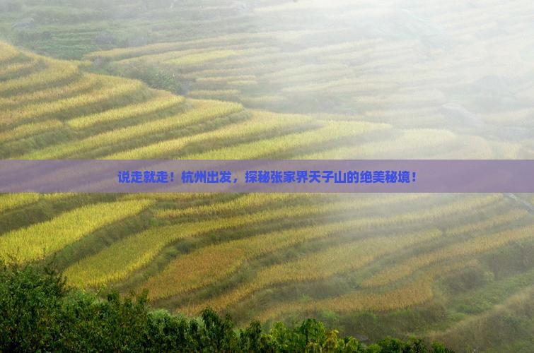 杭州去张家界天子山景点