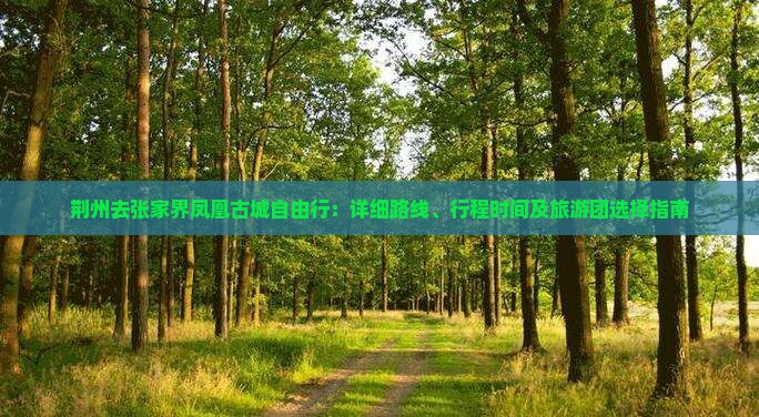 荆州去张家界凤凰古城自由行