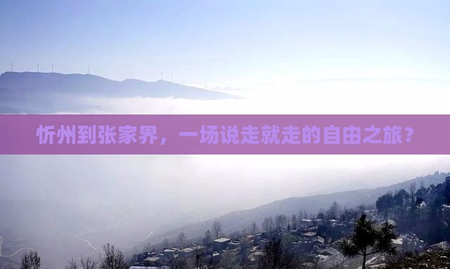 忻州去张家界自由团