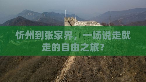 忻州去张家界自由团