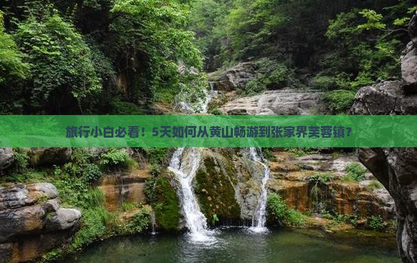 黄山去张家界芙蓉镇五日游