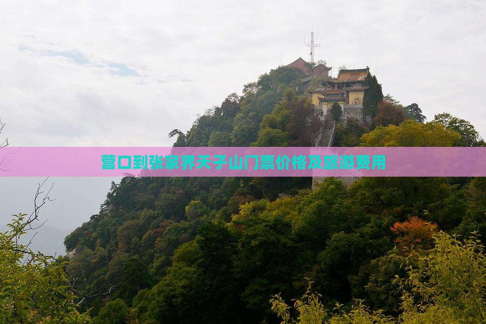 营口到张家界天子山门票