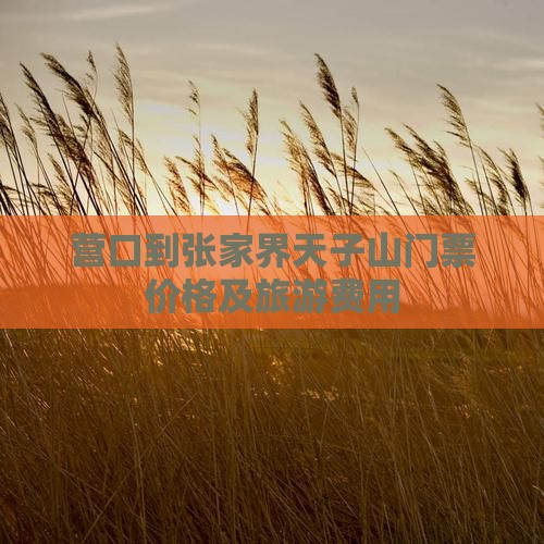 营口到张家界天子山门票