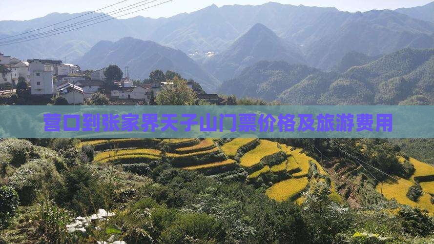 营口到张家界天子山门票