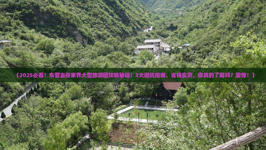 东营去张家界大型旅游团