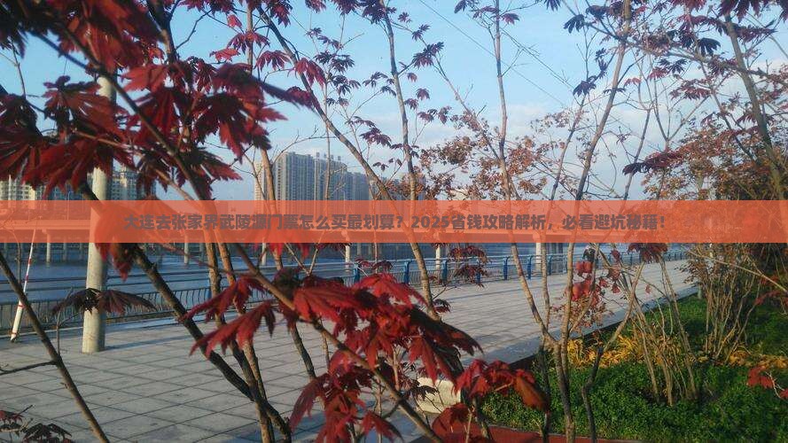 大连去张家界武陵源门票