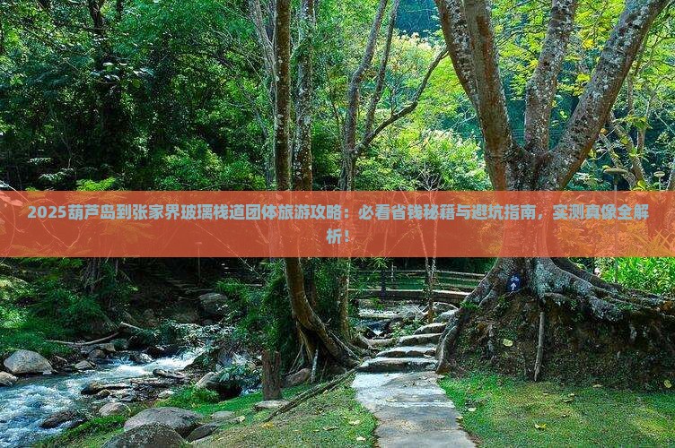 葫芦岛到张家界玻璃栈道团体旅游