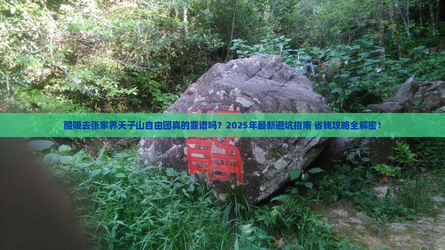 醴陵去张家界天子山自由团