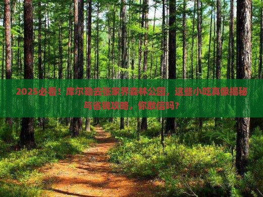 库尔勒去张家界森林公园旅游小吃