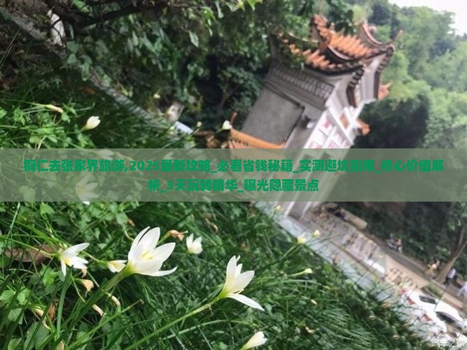 铜仁去张家界旅游