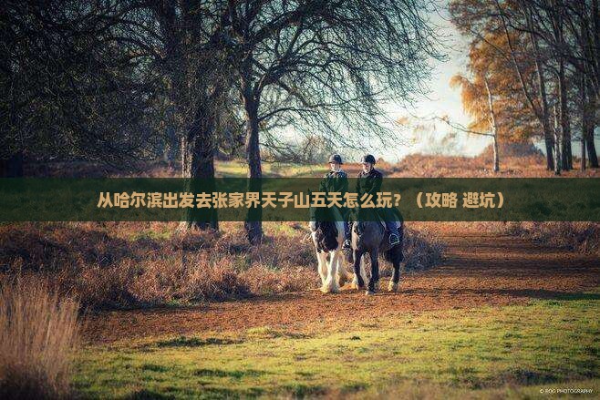 哈尔滨到张家界天子山五日游