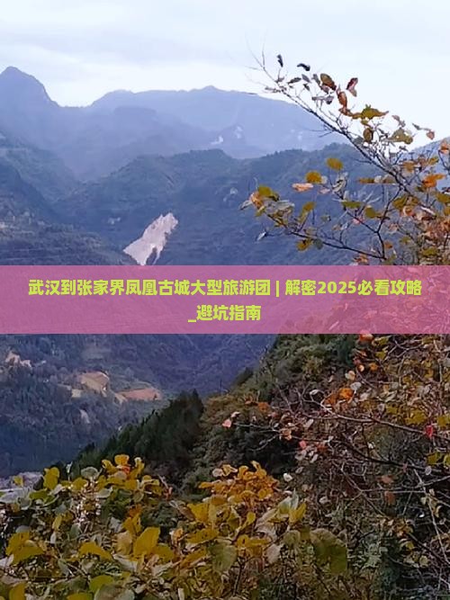 武汉到张家界凤凰古城大型旅游团