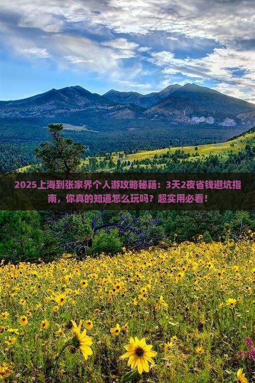 上海到张家界个人游