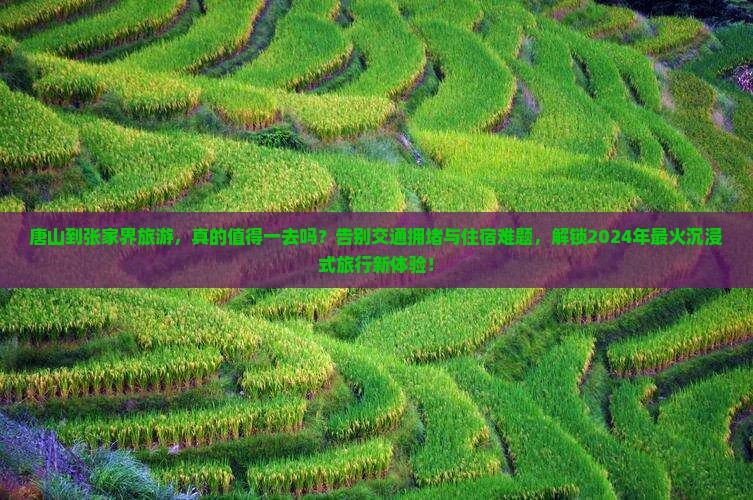 唐山到张家界旅游