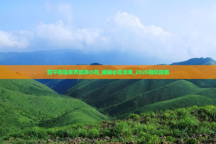 四平到张家界旅游小吃