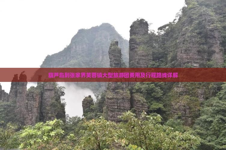 葫芦岛到张家界芙蓉镇大型旅游团