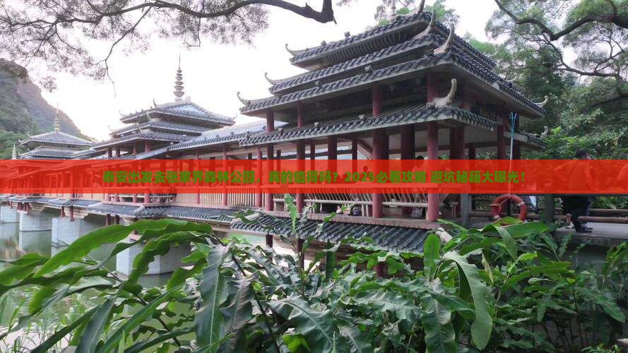 泰安去张家界森林公园旅游