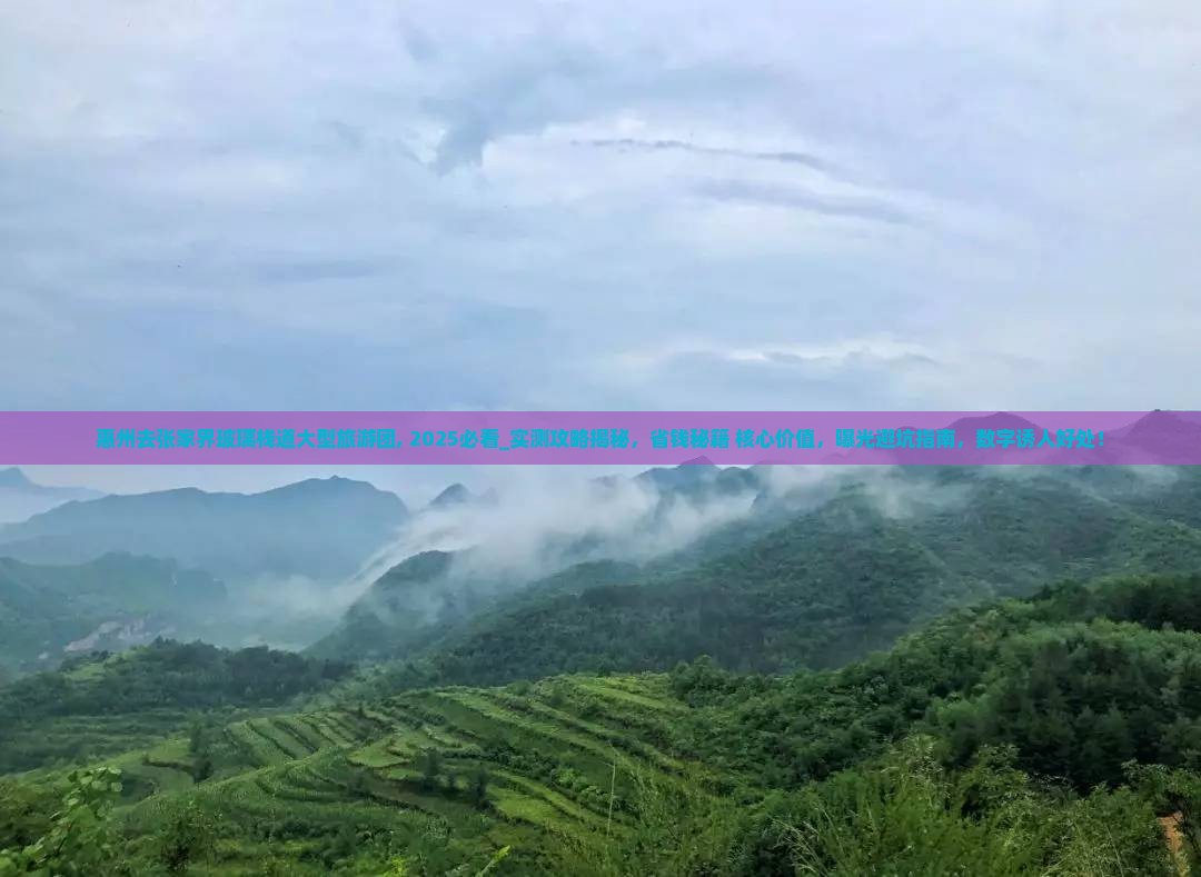 惠州去张家界玻璃栈道大型旅游团