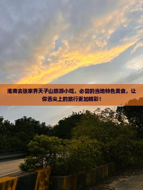 淮南去张家界天子山旅游小吃