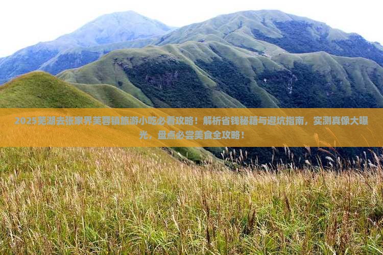 芜湖去张家界芙蓉镇旅游小吃