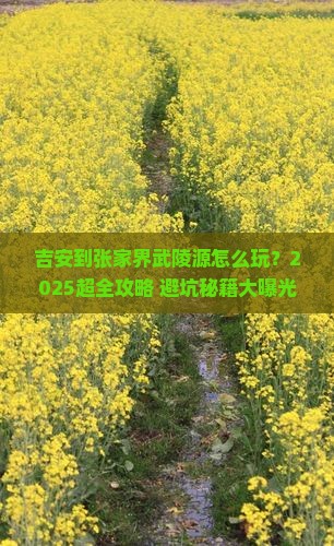 吉安到张家界武陵源大型旅游团