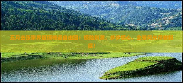 五月去张家界玻璃栈道自由团