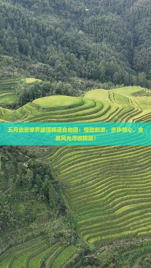 五月去张家界玻璃栈道自由团