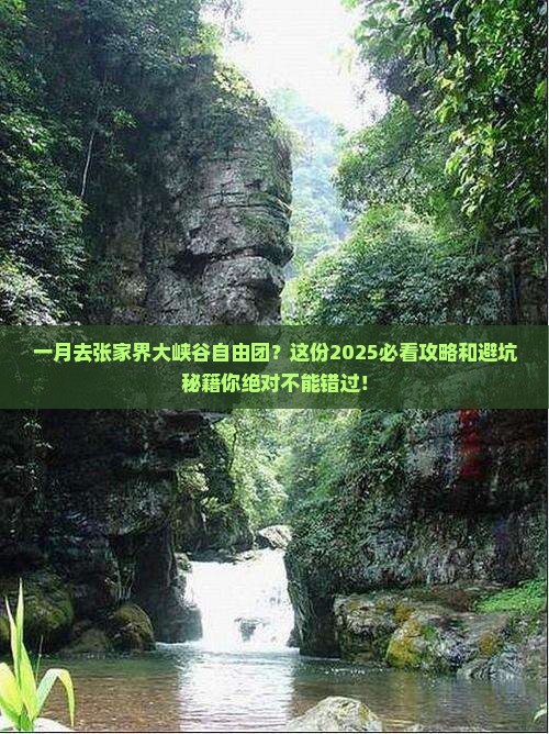 一月到张家界大峡谷自由团