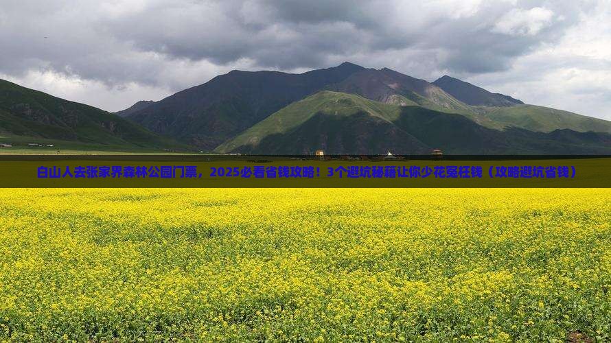 白山去张家界森林公园门票