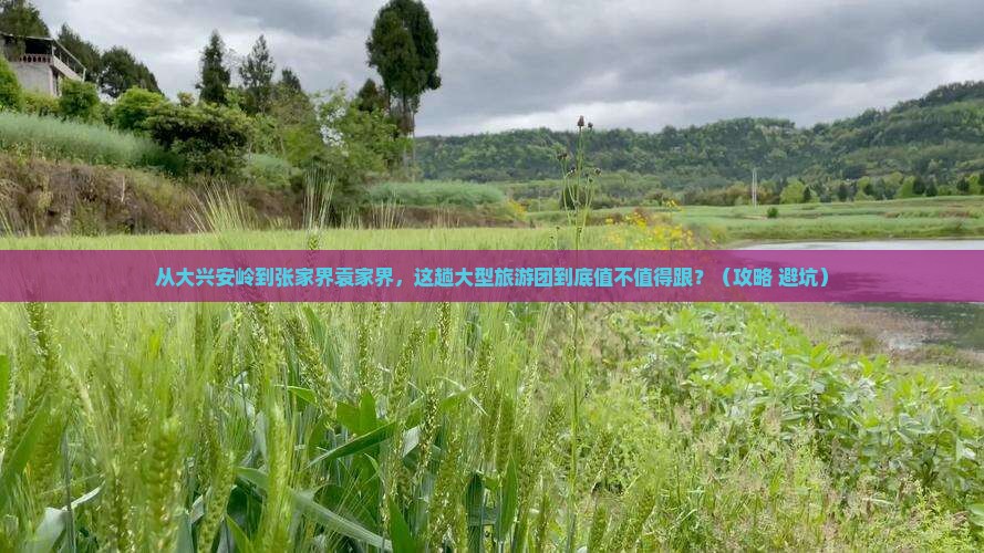 大兴安岭到张家界袁家界大型旅游团