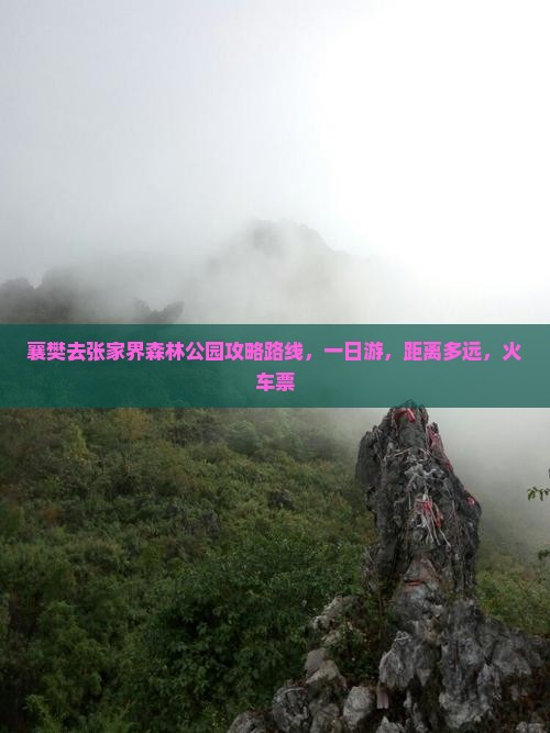 襄樊去张家界森林公园攻略