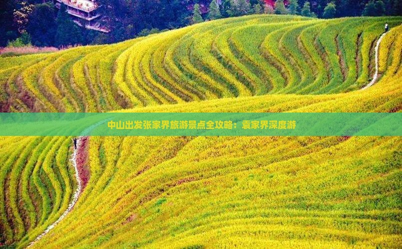 中山出发张家界旅游景点全攻略：袁家界深度游