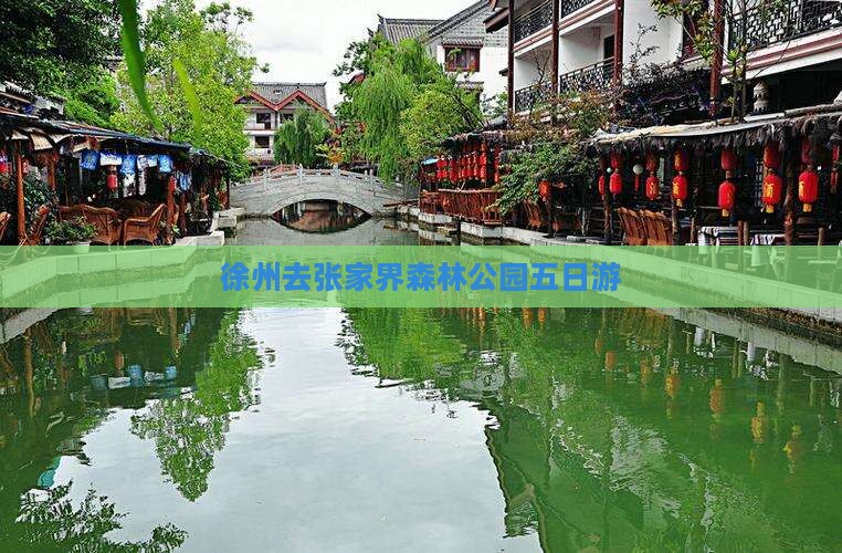 徐州去张家界森林公园五日游
