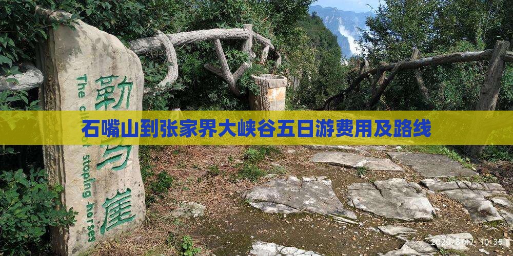 石嘴山到张家界大峡谷五日游费用及路线