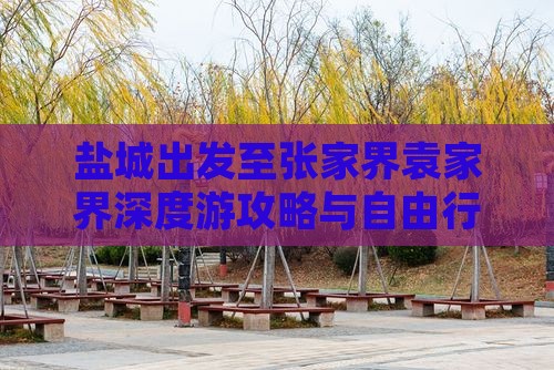 盐城出发至张家界袁家界深度游攻略与自由行
