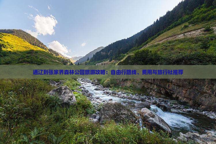 通辽到张家界森林公园旅游攻略：自由行路线、费用与旅行社推荐