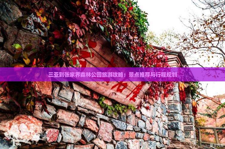 三亚到张家界森林公园旅游攻略：景点推荐与行程规划
