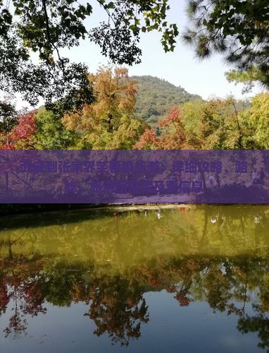 武威到张家界芙蓉镇旅游：详细攻略、路线、旅游团推荐及票信息