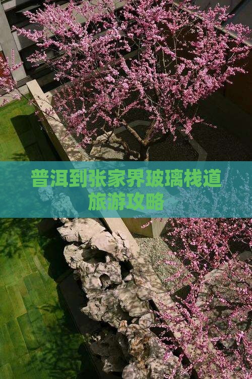 普洱到张家界玻璃栈道旅游攻略