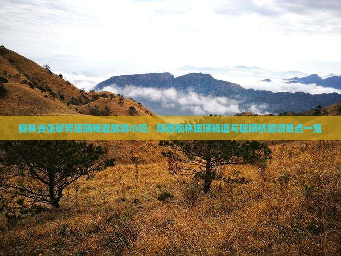 榆林去张家界玻璃栈道旅游小吃：陕西榆林玻璃栈道与玻璃桥旅游景点一览