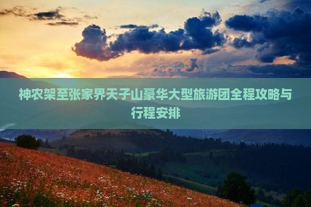 神农架至张家界天子山豪华大型旅游团全程攻略与行程安排
