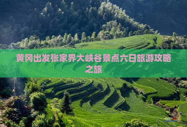 黄冈出发张家界大峡谷景点六日旅游攻略之旅